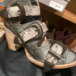 Freebird by Steven Stone Violet new in box size 9